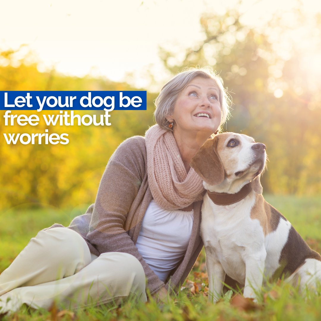 Post de instagram promoción dentista moderno azul con amarillo (1)