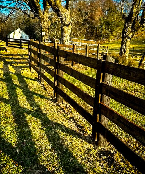 48a2e14a-7e7d-4388-89e1-6bd4267dd94c