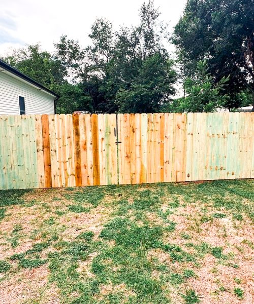 603eb83a-dabb-4e5a-ada2-3ed1ee784e4b