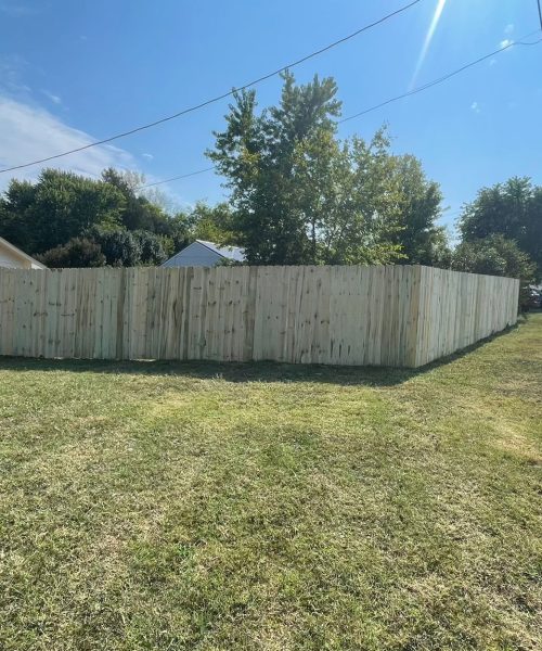 WhatsApp Image 2022-11-19 at 11.10.38 PM (5)