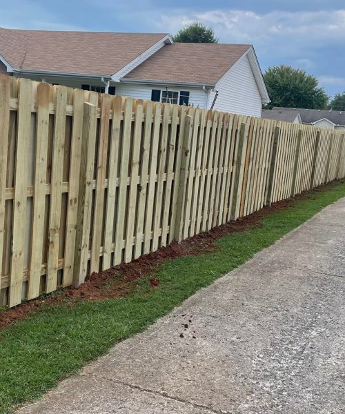 WhatsApp Image 2022-11-19 at 11.10.39 PM