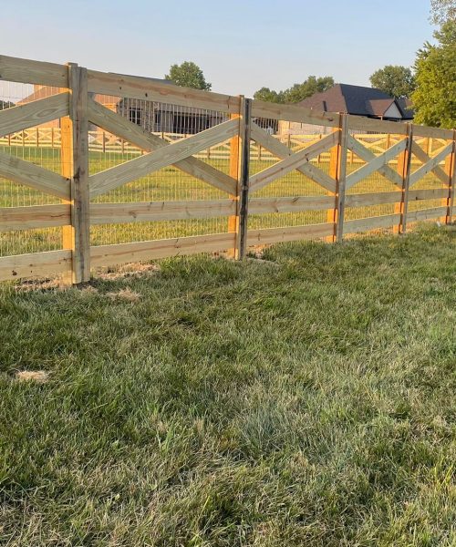 WhatsApp Image 2022-11-19 at 11.10.40 PM