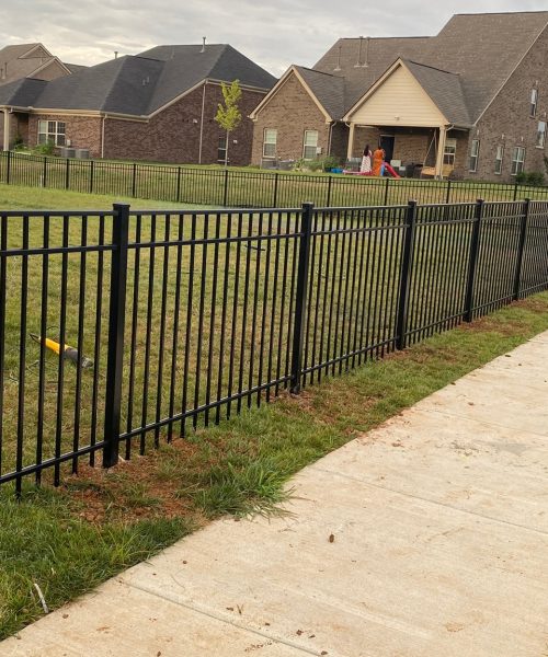 WhatsApp Image 2023-01-21 at 12.04.04 PM