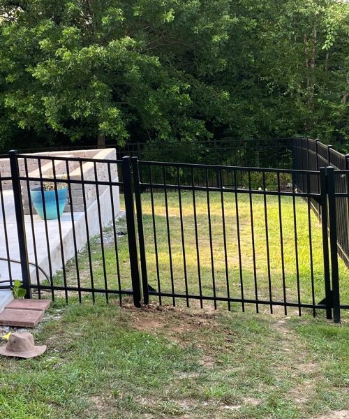 WhatsApp Image 2023-01-21 at 12.04.06 PM