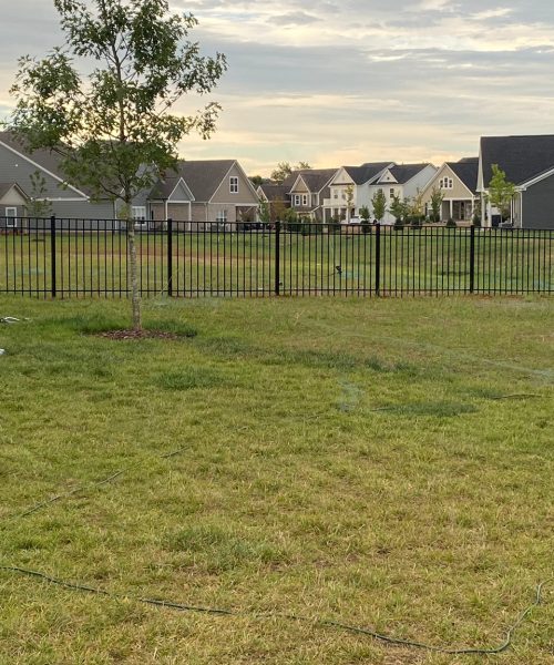 WhatsApp Image 2023-01-21 at 12.04.07 PM (1)