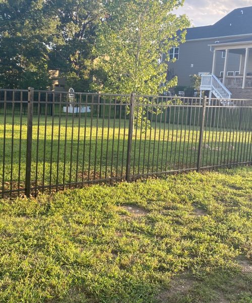 WhatsApp Image 2023-01-21 at 12.04.08 PM