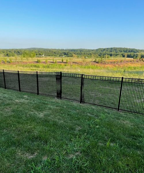 WhatsApp Image 2023-01-21 at 12.04.09 PM (3)