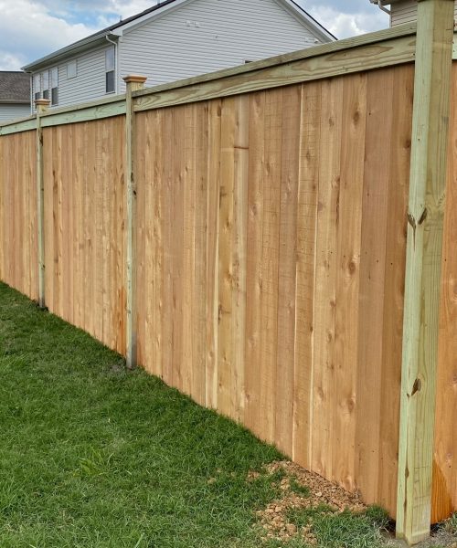 WhatsApp Image 2023-01-21 at 12.08.27 PM (1)