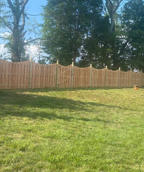 WhatsApp Image 2023-01-21 at 12.08.37 PM