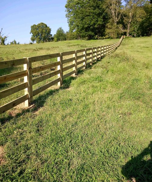 WhatsApp Image 2023-01-21 at 12.11.09 PM