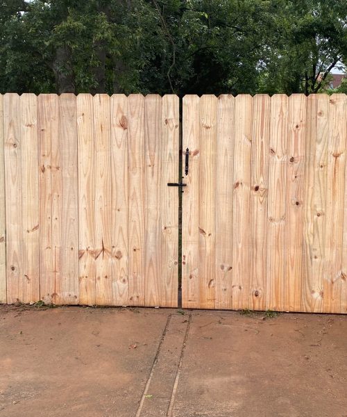 WhatsApp Image 2023-01-21 at 12.11.27 PM