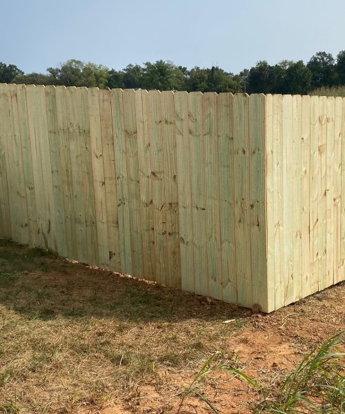 WhatsApp Image 2023-01-21 at 12.11.30 PM