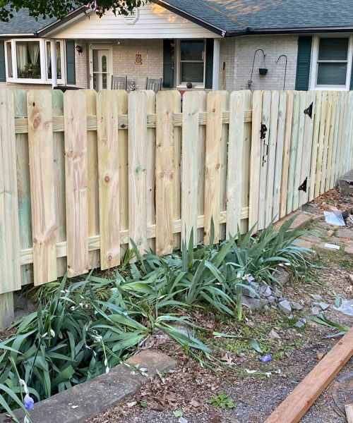 WhatsApp Image 2023-01-21 at 12.11.33 PM