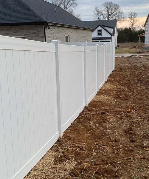 WhatsApp Image 2023-01-21 at 12.15.12 PM