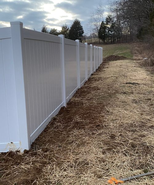 WhatsApp Image 2023-01-21 at 12.15.13 PM