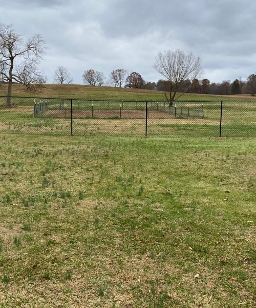 WhatsApp Image 2023-01-21 at 12.20.22 PM