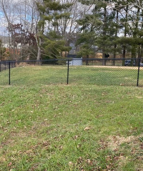 WhatsApp Image 2023-01-21 at 12.20.28 PM