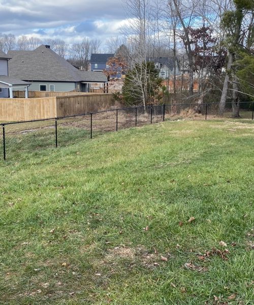 WhatsApp Image 2023-01-21 at 12.20.29 PM