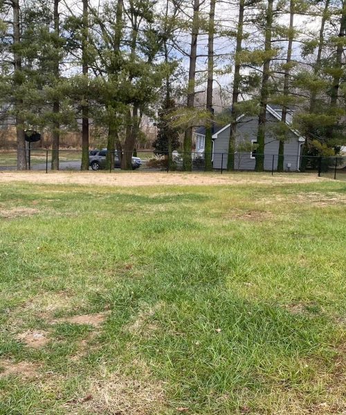 WhatsApp Image 2023-01-21 at 12.20.30 PM