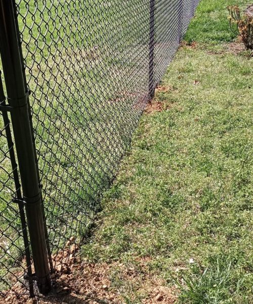 WhatsApp Image 2023-01-21 at 12.20.33 PM (2)