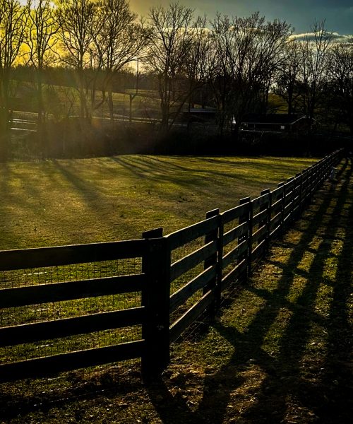 b20c4378-79fc-4233-ba29-c8e811920ba4