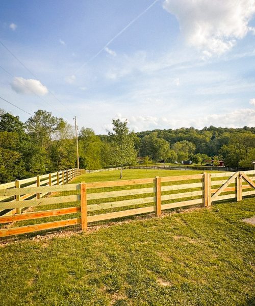 e3077b6d-e0c0-436d-856d-38ae729213eb